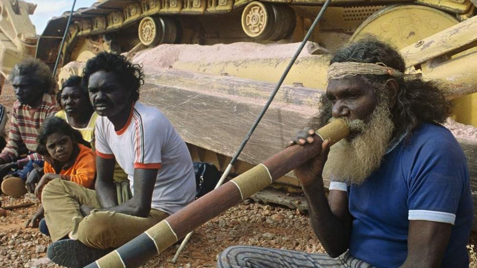 Dove sognano le formiche verdi il fallimento del mito del progresso